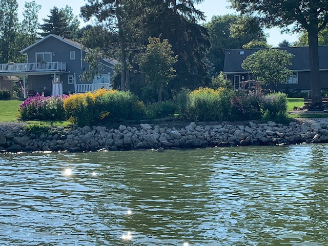 Many residents are participating in Healthy Lakes projects such as this native planting along the shore line to reduce runoff of nutrients and sediment into the lake.